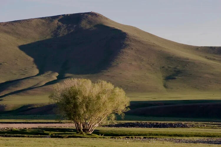 MONGOLIA